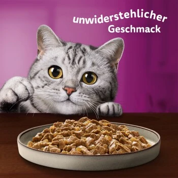 Whiskas Pure Delight Mega Pack Geflügel Ragout In Gelee 40 X 85g 9 Whiskas Pure Delight Mega Pack Geflügel Ragout In Gelee 40 X 85g – Bild 9