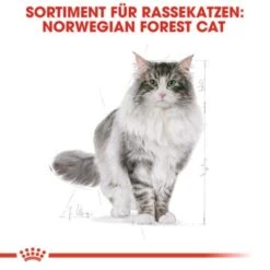 ROYAL CANIN Norwegian Forest Adult 10 Kg -SHEBA Verkäufe fbb7469796543bd639ecf9b5bdacfec6845c76e4 cac6e10546e06170d84336bb88e578437b718711